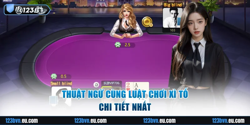 Thuật ngữ và bộ luật chi tiết nhất của trò chơi xì tố 